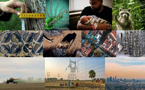 Awarded projects address climate, biodiversity, environmental health and justice