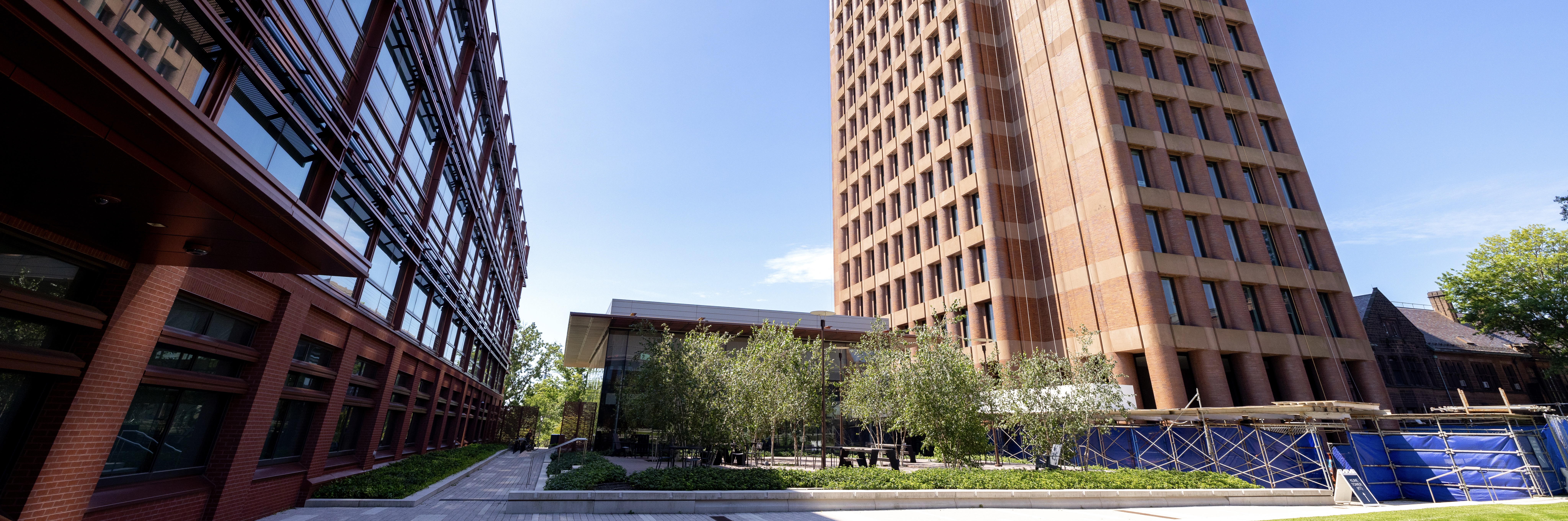 Yale Science Building and Kline Tower: Allie Barton