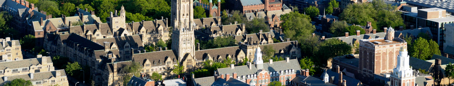 A view of Yale University from above