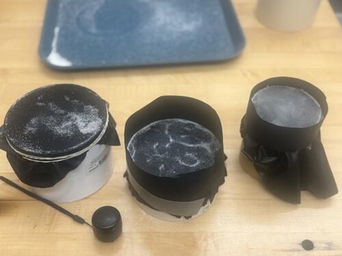 Chladni plates developed for the YPO “make-and-take”. Image courtesy of Caitlin Hansen.