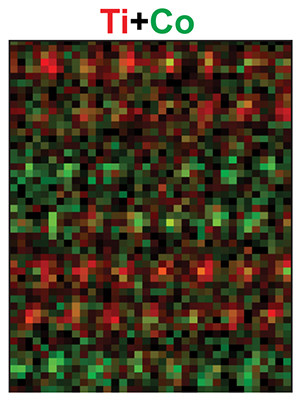 This is an element-specific, scanning transmission electron microscopy (STEM) image of the atoms in a new material developed by Yale in collaboration with Brookhaven National Laboratory. The image shows layered sheets of cobalt (green) and titanium (red) atoms. (Image courtesy of Brookhaven National Laboratory)
