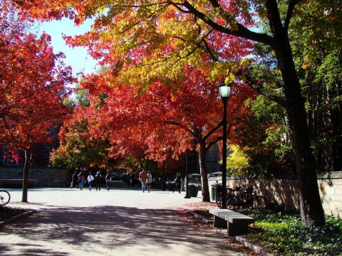 Central campus in the fall (photo by Anna Kashkanova)