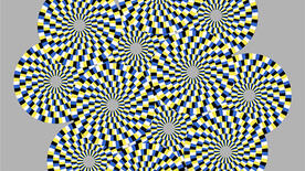 In this stationary image, viewers should see the circles rotating in different directions. The effect is particularly pronounced when the viewer’s eyes move or blink. (Illusion credit to A. Kitaoka; illustrated by R. Tanaka)