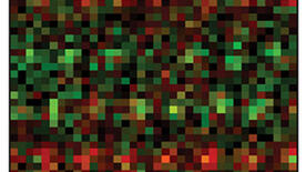 This is an element-specific, scanning transmission electron microscopy (STEM) image of the atoms in a new material developed by Yale in collaboration with Brookhaven National Laboratory. The image shows layered sheets of cobalt (green) and titanium (red) atoms. (Image courtesy of Brookhaven National Laboratory)